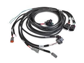 VCU Universal LV Rear Harness