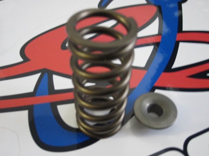 (image for) F22B/F23/F20B SOHC VTEC Spring and retainer kit